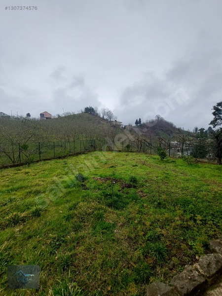 Fibi'den Tirebolu'da Deniz Ve Doğa Manzaralı 4 Katlı Bina + Arsa — fotoğraf 6