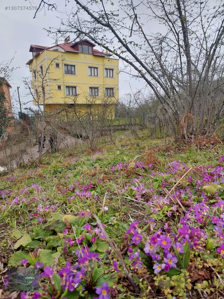 Fibi'den Tirebolu'da Deniz Ve Doğa Manzaralı 4 Katlı Bina + Arsa — fotoğraf 7