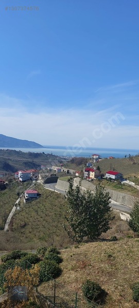 Fibi'den Tirebolu'da Deniz Ve Doğa Manzaralı 4 Katlı Bina + Arsa — fotoğraf 25
