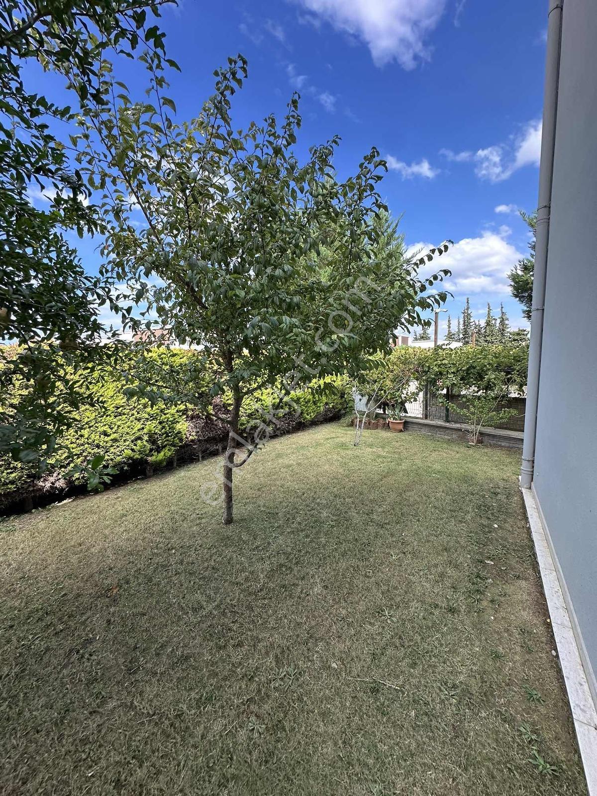 Güzelçamlı'da 600 M2 Bahçeli 5+1 Satılık Villa — fotoğraf 17