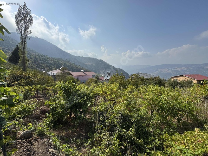 Ortam Emlak'tan Ayvagediği Yaylasında Harika Konumda 450m2 Arsa — fotoğraf 8