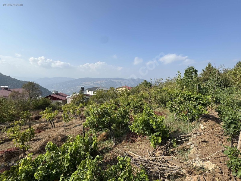 Ortam Emlak'tan Ayvagediği Yaylasında Harika Konumda 450m2 Arsa — fotoğraf 9
