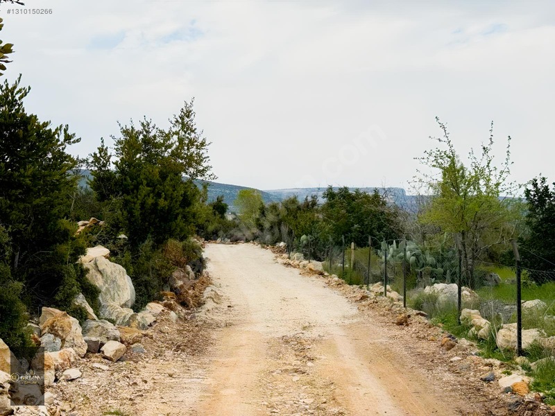 Ortam Emlak'tan Topaklı'da 6.250m2 Tarla + Dağ Evi — fotoğraf 7