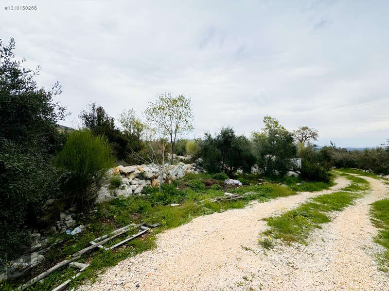 Ortam Emlak'tan Topaklı'da 6.250m2 Tarla + Dağ Evi — fotoğraf 14