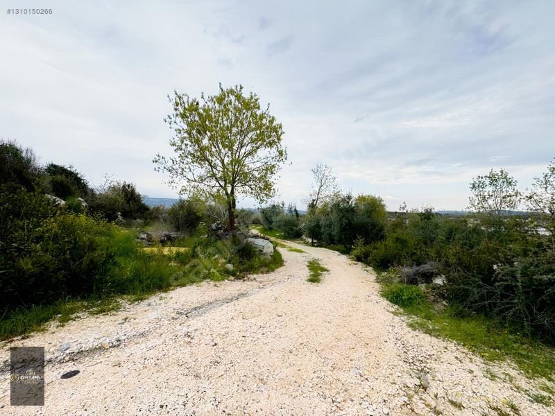 Ortam Emlak'tan Topaklı'da 6.250m2 Tarla + Dağ Evi — fotoğraf 15
