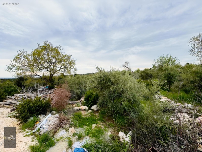 Ortam Emlak'tan Topaklı'da 6.250m2 Tarla + Dağ Evi — fotoğraf 16