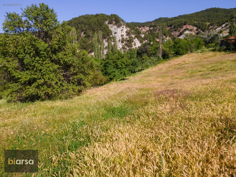 Bolu Göynük'te İmarlı 600 M² Köyiçi Fırsat Müstakil Parsel ! — fotoğraf 8