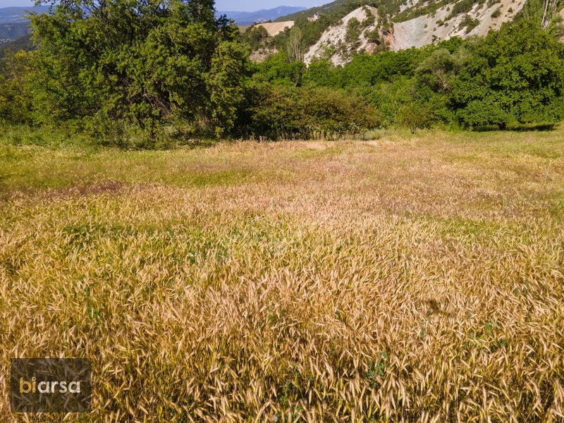 Bolu Göynük'te İmarlı 600 M² Köyiçi Fırsat Müstakil Parsel ! — fotoğraf 13