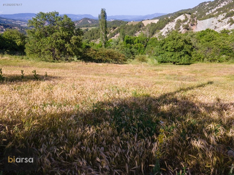Bolu Göynük'te İmarlı 600 M² Köyiçi Fırsat Müstakil Parsel ! — fotoğraf 14