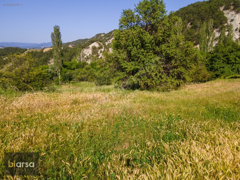 Bolu Göynük'te İmarlı 600 M² Köyiçi Fırsat Müstakil Parsel ! — fotoğraf 28