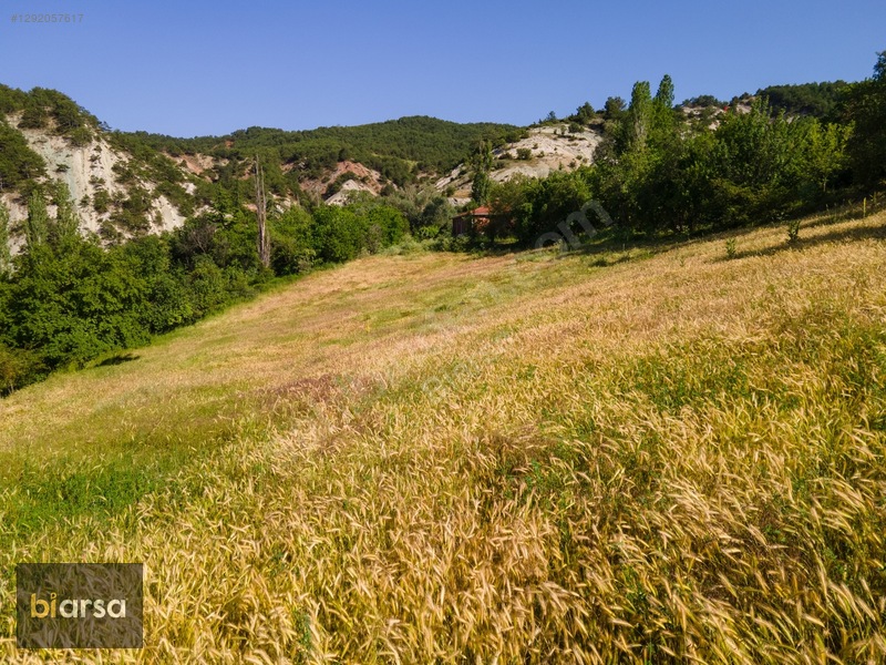 Bolu Göynük'te İmarlı 600 M² Köyiçi Fırsat Müstakil Parsel ! — fotoğraf 30