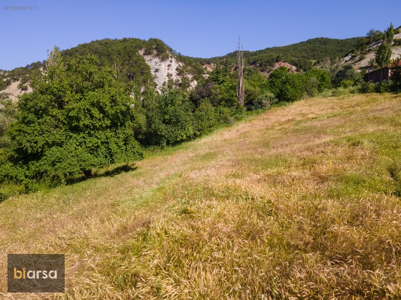 Bolu Göynük'te İmarlı 600 M² Köyiçi Fırsat Müstakil Parsel ! — fotoğraf 31