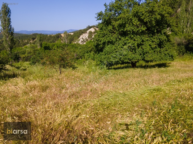 Bolu Göynük'te İmarlı 600 M² Köyiçi Fırsat Müstakil Parsel ! — fotoğraf 32