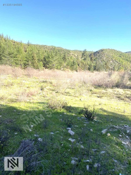 Manavgat Sağırin Beşkonak Truzim Yolunda Kupon Tek Tapu Arazi