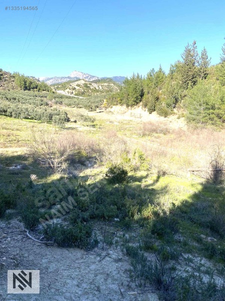 Manavgat Sağırin Beşkonak Truzim Yolunda Kupon Tek Tapu Arazi — fotoğraf 5
