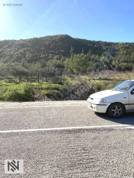 Manavgat Sağırin Beşkonak Truzim Yolunda Kupon Tek Tapu Arazi — fotoğraf 9