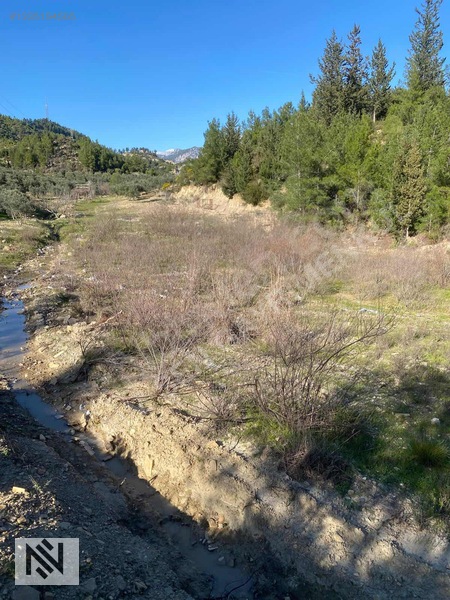 Manavgat Sağırin Beşkonak Truzim Yolunda Kupon Tek Tapu Arazi — fotoğraf 11