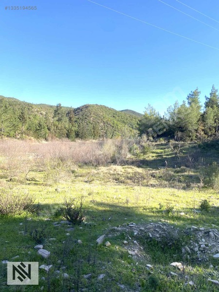 Manavgat Sağırin Beşkonak Truzim Yolunda Kupon Tek Tapu Arazi — fotoğraf 12
