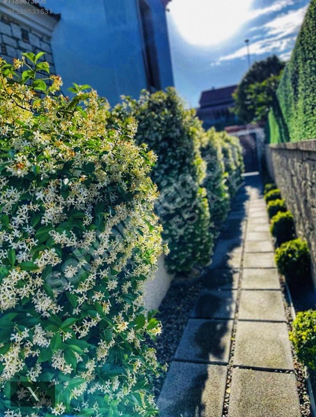 Alaçatı Sakızlar | 350 M² Havuzlu Lüks Villa | Müştemilatlı — fotoğraf 11