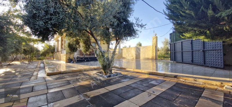 Oguzeli Gürsuda Satılık Bağ Evi Havuzlu 1750 M2 — fotoğraf 5