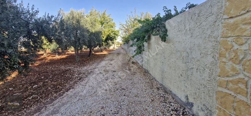 Oguzeli Gürsuda Satılık Bağ Evi Havuzlu 1750 M2 — fotoğraf 27
