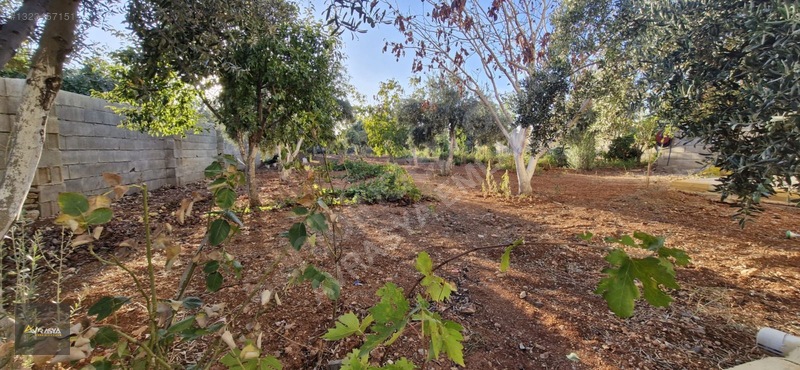 Oguzeli Gürsuda Satılık Bağ Evi Havuzlu 1750 M2 — fotoğraf 32