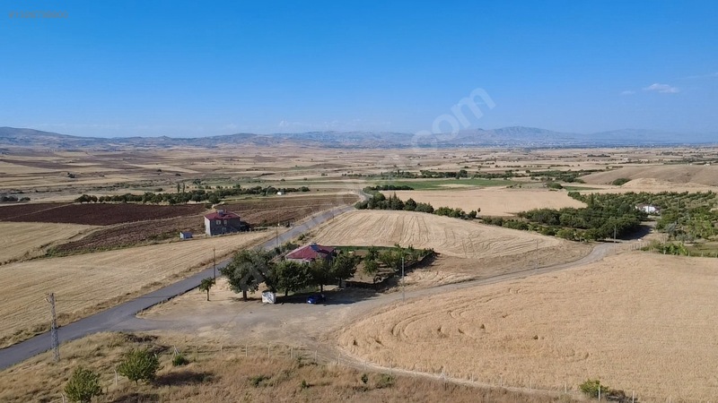 Hekimoğlu Emlakdan Dedepınar Köyünde Satılık Fırsat Tarla — fotoğraf 6