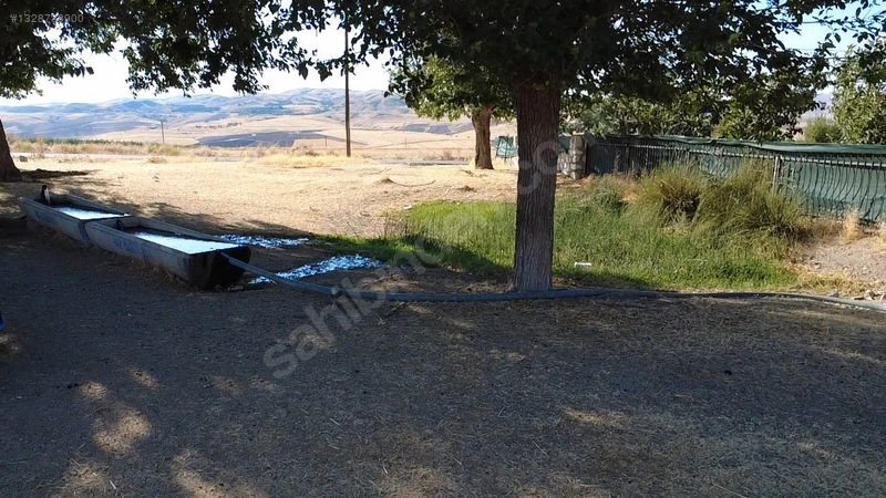 Hekimoğlu Emlakdan Dedepınar Köyünde Satılık Fırsat Tarla — fotoğraf 13