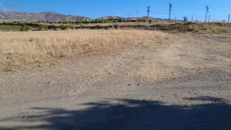 Hekimoğlu Emlakdan Dedepınar Köyünde Satılık Fırsat Tarla — fotoğraf 14