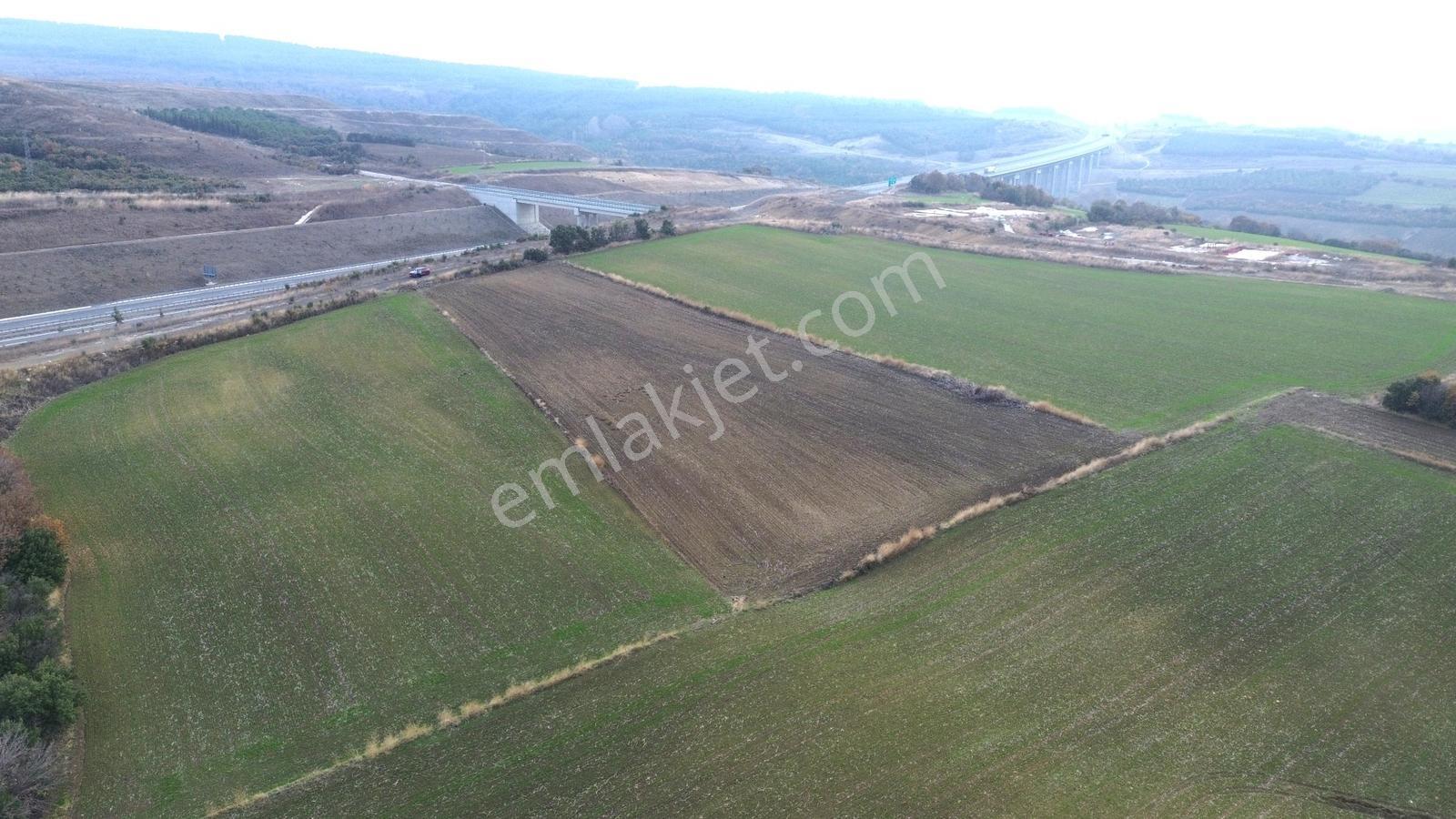 Yiğit Gayrimenkul'den Boğaz Köprüsü Manzaralı Satılık Tarla — fotoğraf 6