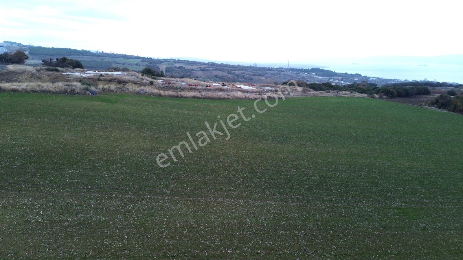 Yiğit Gayrimenkul'den Boğaz Köprüsü Manzaralı Satılık Tarla — fotoğraf 28