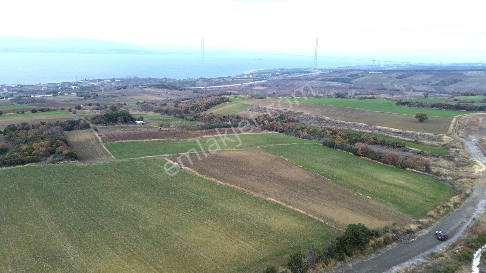 Yiğit Gayrimenkul'den Boğaz Köprüsü Manzaralı Satılık Tarla — fotoğraf 36