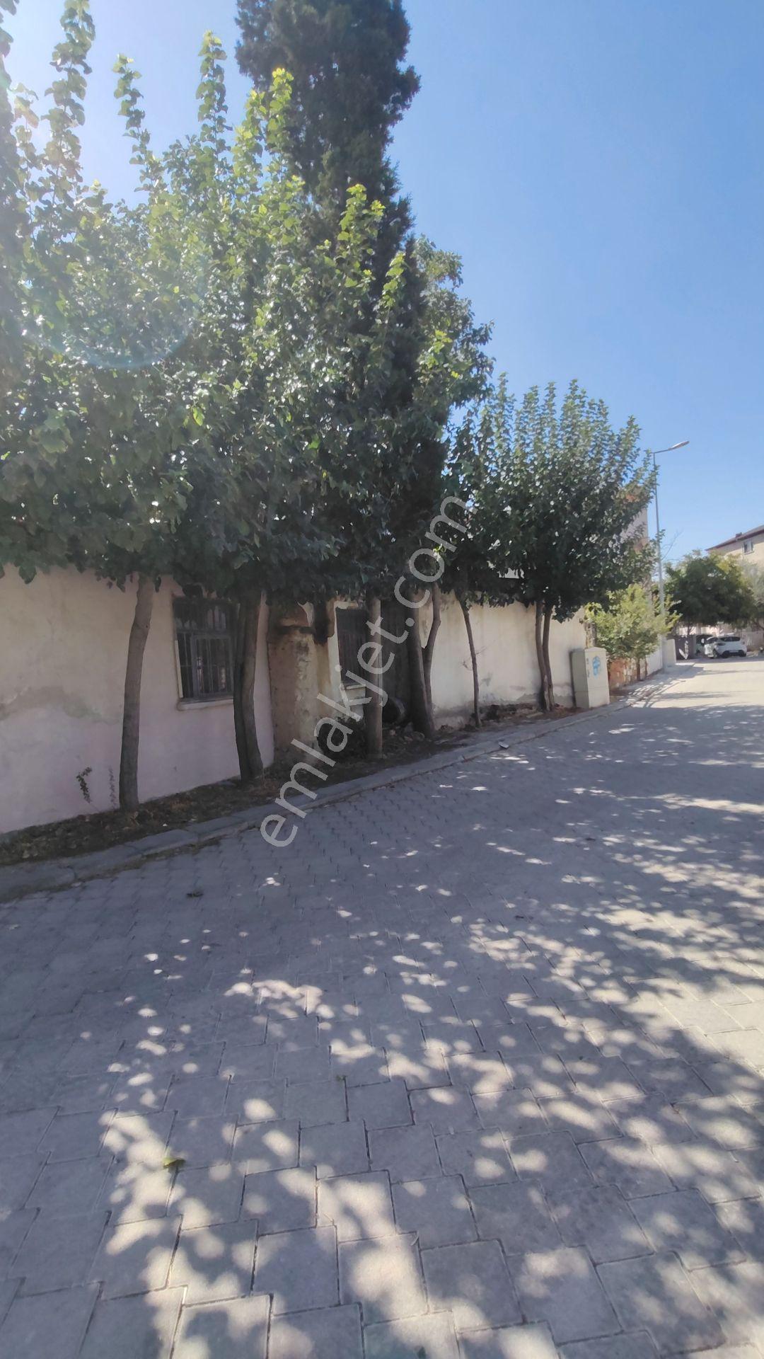 Denizli Sevindik Mahallesi — fotoğraf 4
