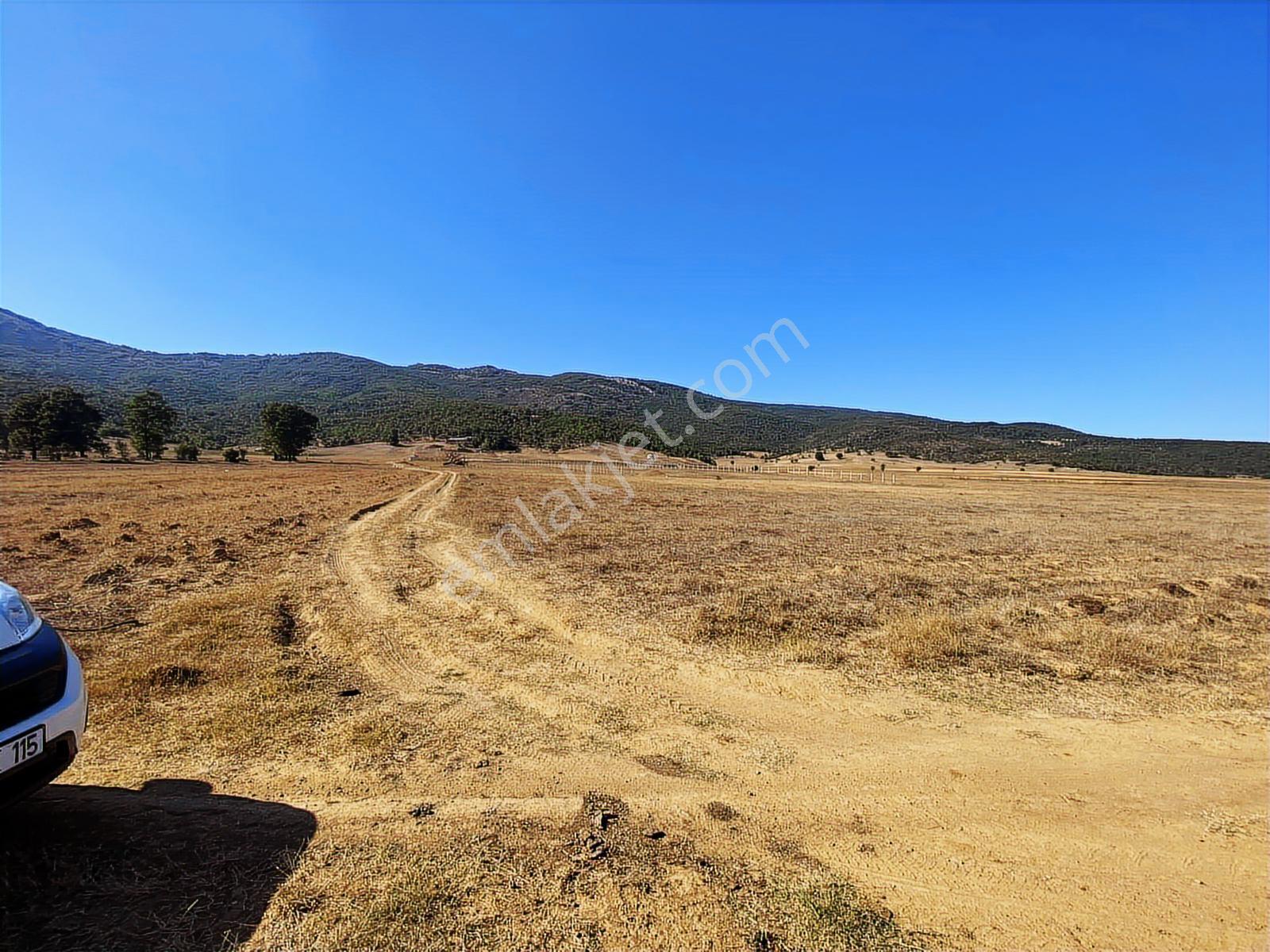 4.946 M2 Yatırımlık Köye Yakın Mükemmel Fırsat Sizleri Bekliyor — fotoğraf 2