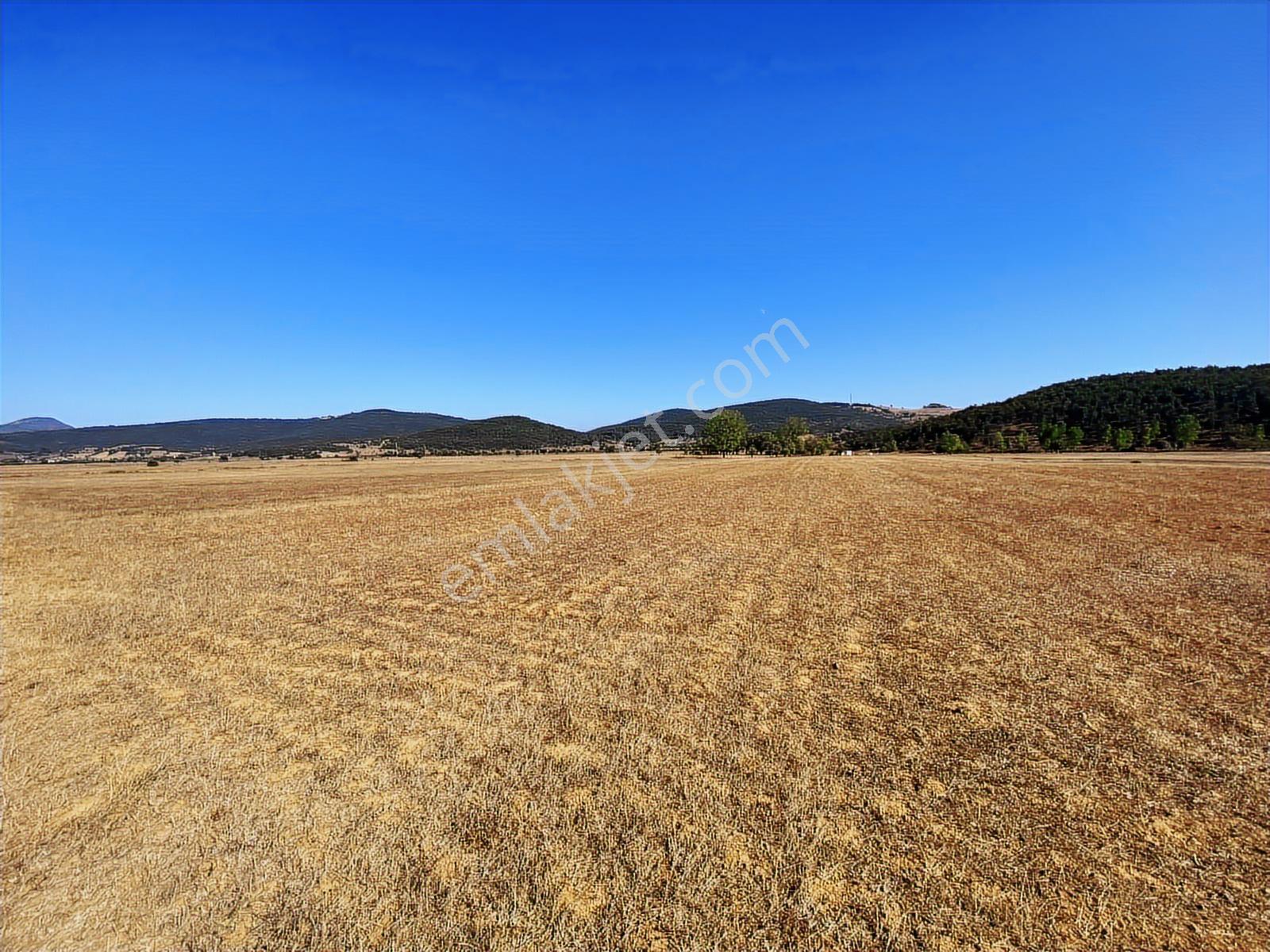 4.946 M2 Yatırımlık Köye Yakın Mükemmel Fırsat Sizleri Bekliyor — fotoğraf 3
