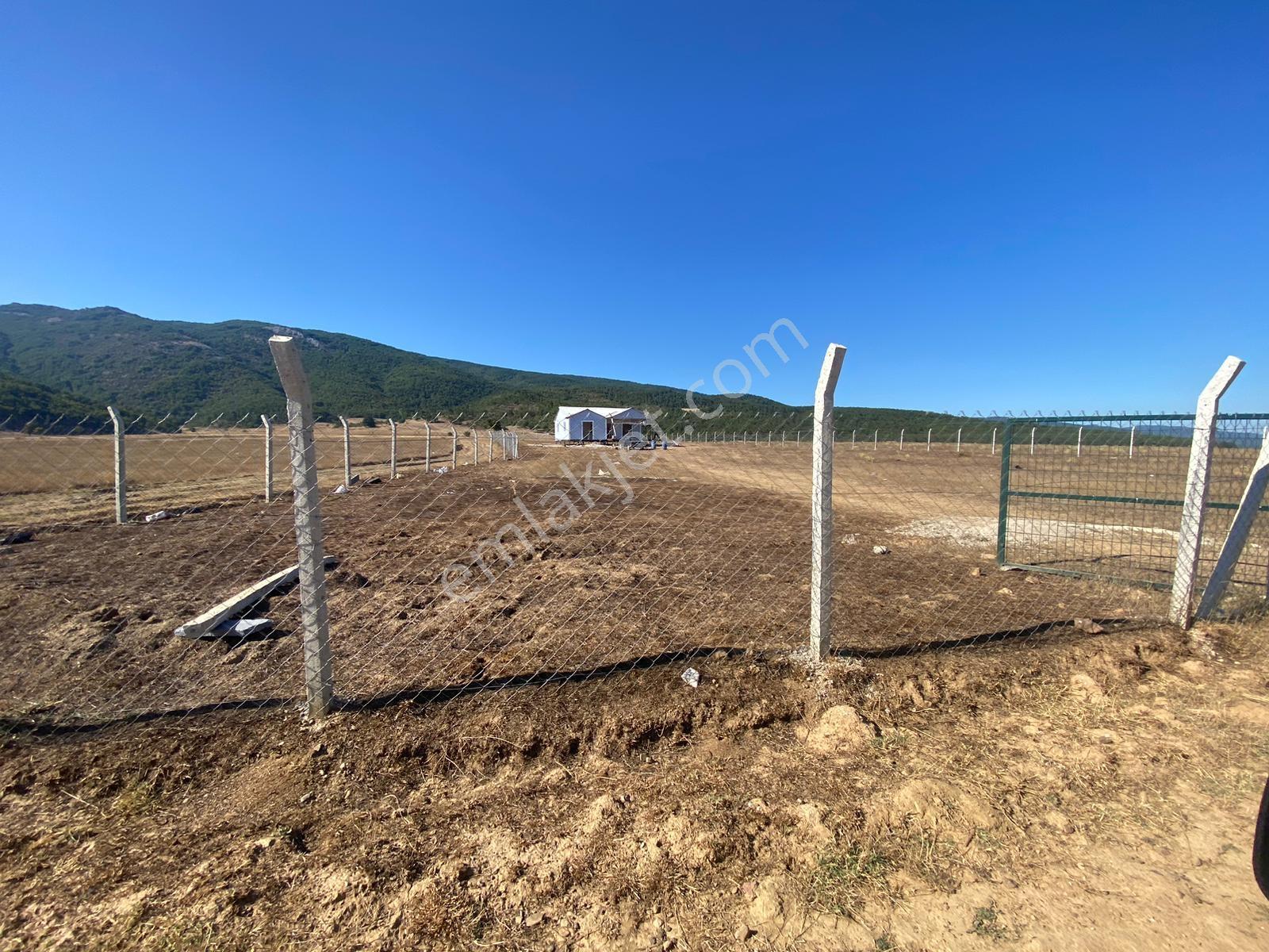 4.946 M2 Yatırımlık Köye Yakın Mükemmel Fırsat Sizleri Bekliyor — fotoğraf 4