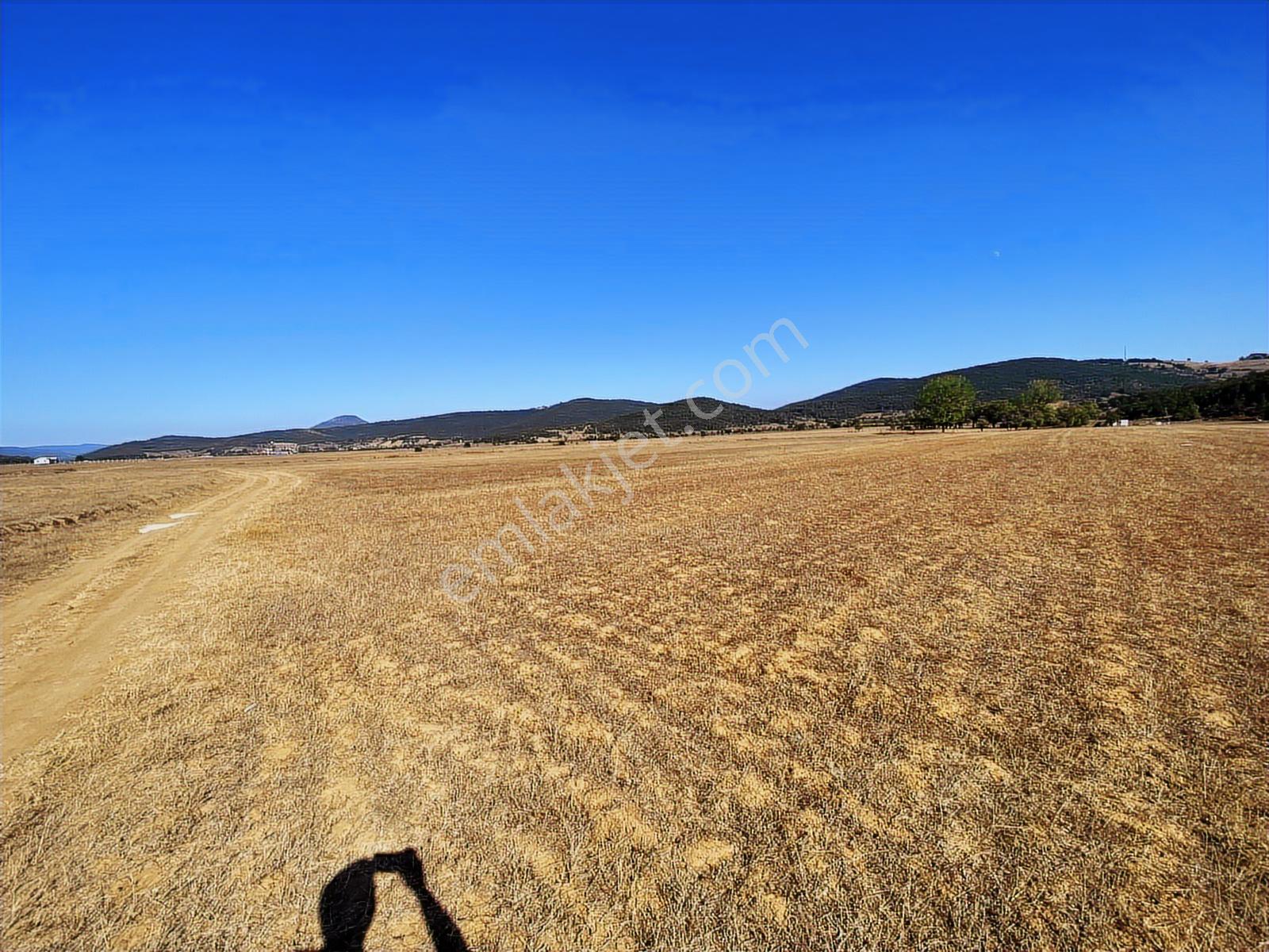 4.946 M2 Yatırımlık Köye Yakın Mükemmel Fırsat Sizleri Bekliyor — fotoğraf 6
