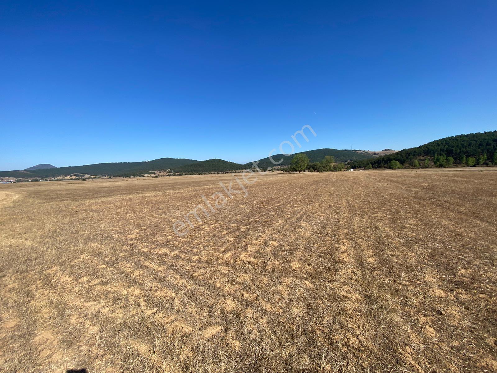 4.946 M2 Yatırımlık Köye Yakın Mükemmel Fırsat Sizleri Bekliyor — fotoğraf 7