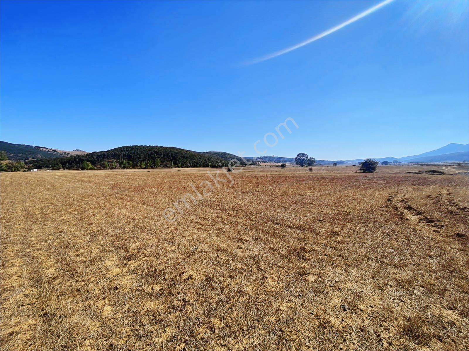 4.946 M2 Yatırımlık Köye Yakın Mükemmel Fırsat Sizleri Bekliyor — fotoğraf 9