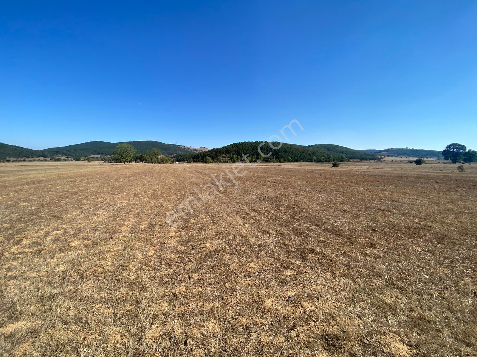 4.946 M2 Yatırımlık Köye Yakın Mükemmel Fırsat Sizleri Bekliyor — fotoğraf 10