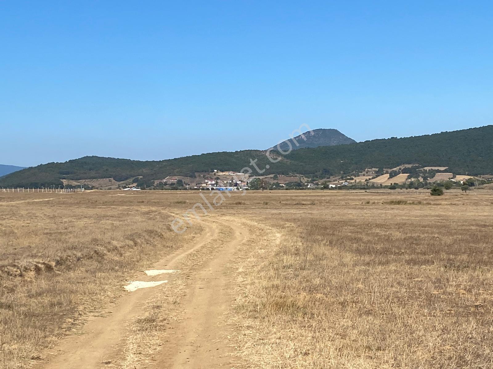 4.946 M2 Yatırımlık Köye Yakın Mükemmel Fırsat Sizleri Bekliyor — fotoğraf 12