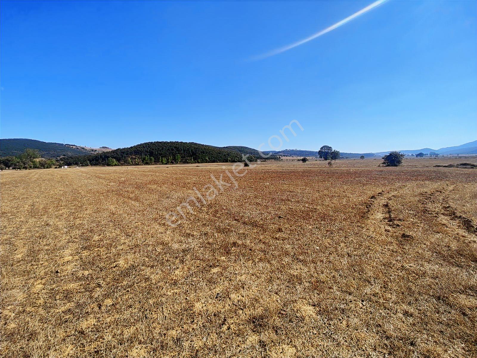 4.946 M2 Yatırımlık Köye Yakın Mükemmel Fırsat Sizleri Bekliyor — fotoğraf 14