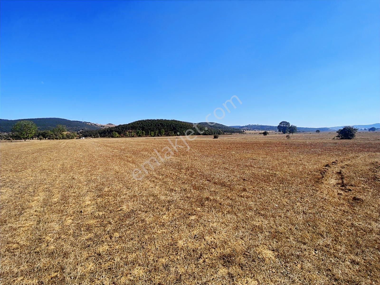 4.946 M2 Yatırımlık Köye Yakın Mükemmel Fırsat Sizleri Bekliyor — fotoğraf 15