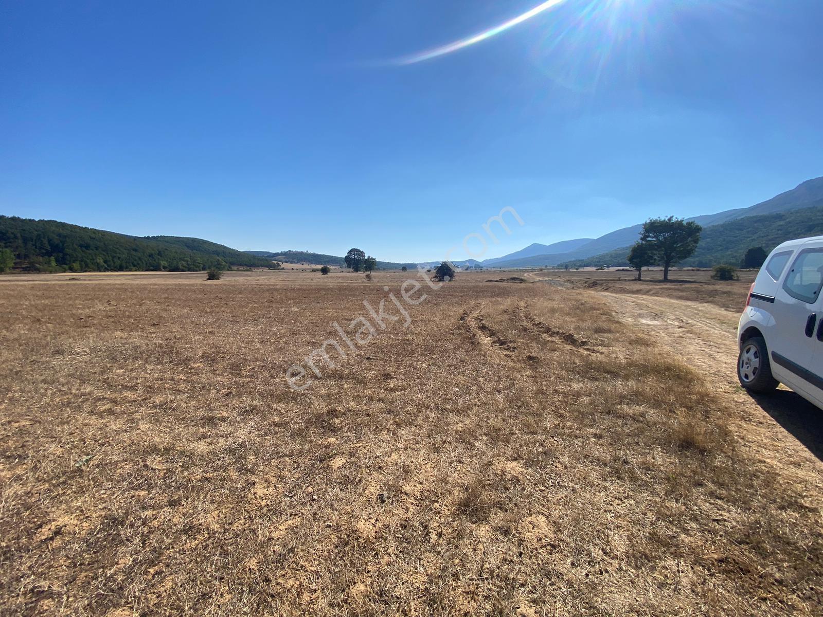 4.946 M2 Yatırımlık Köye Yakın Mükemmel Fırsat Sizleri Bekliyor — fotoğraf 17