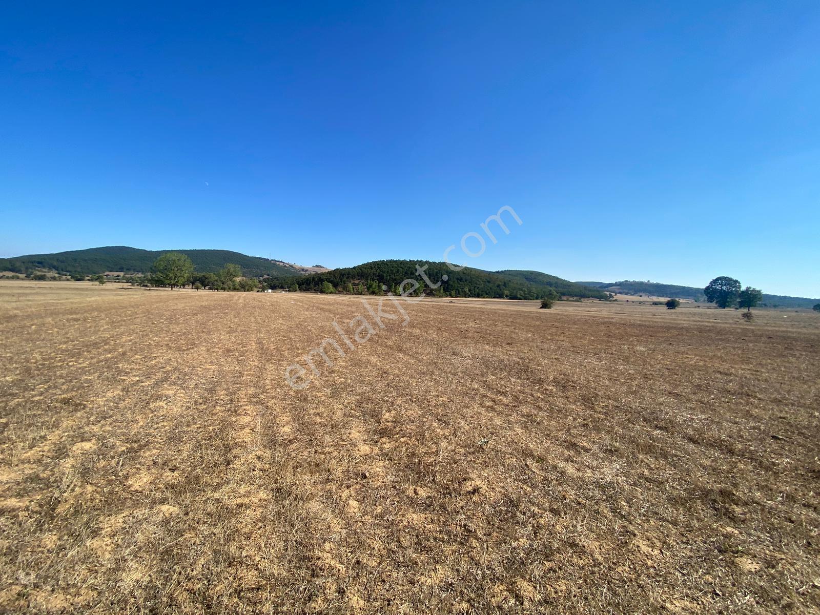 4.946 M2 Yatırımlık Köye Yakın Mükemmel Fırsat Sizleri Bekliyor — fotoğraf 19