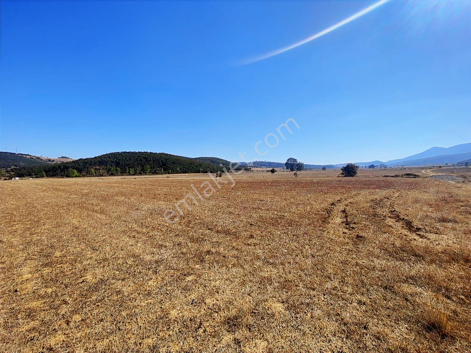 4.946 M2 Yatırımlık Köye Yakın Mükemmel Fırsat Sizleri Bekliyor — fotoğraf 20