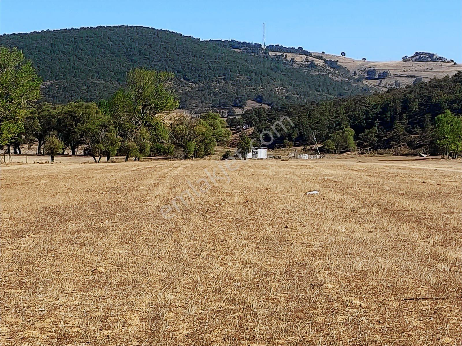 4.946 M2 Yatırımlık Köye Yakın Mükemmel Fırsat Sizleri Bekliyor — fotoğraf 23