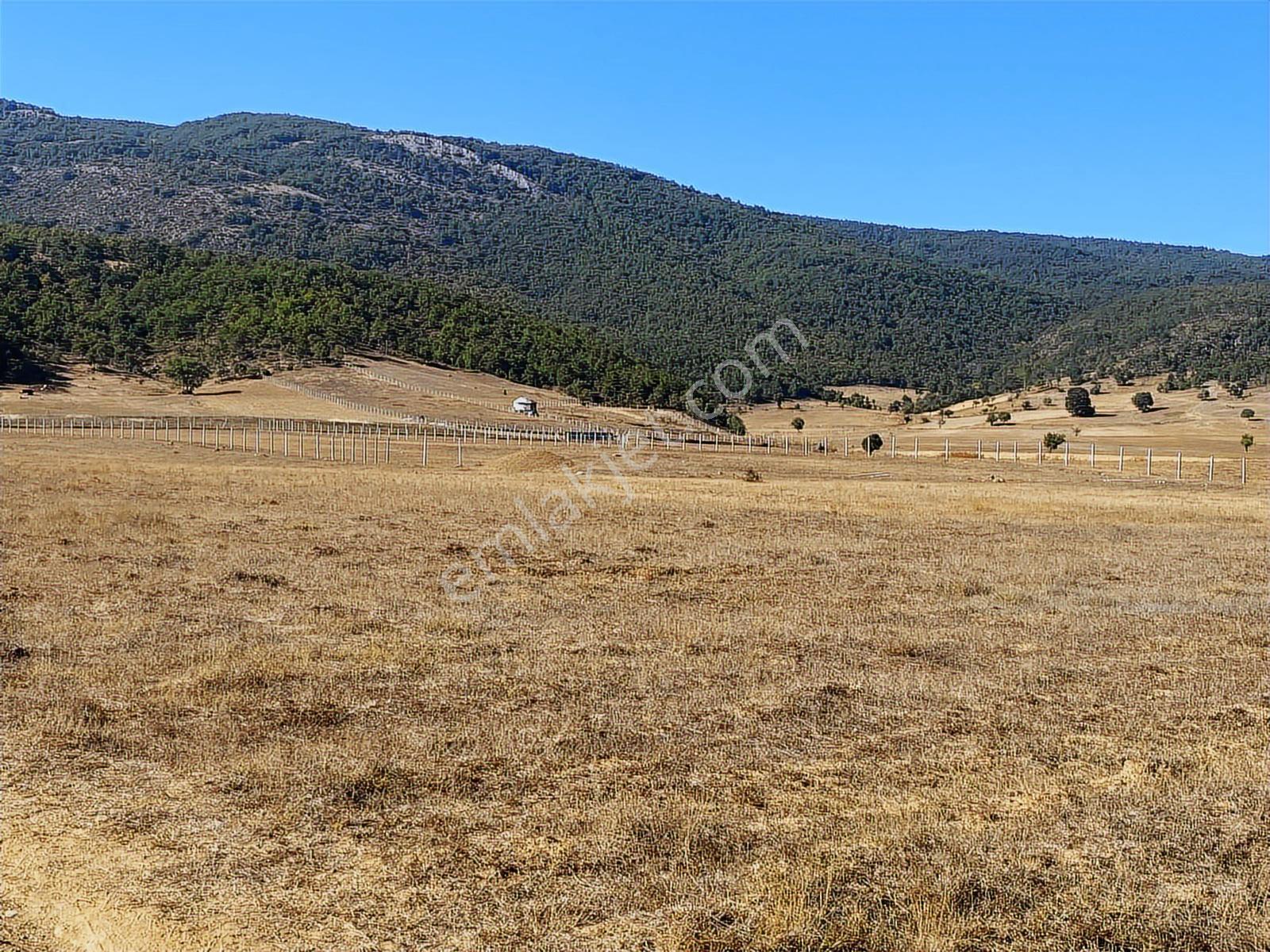 4.946 M2 Yatırımlık Köye Yakın Mükemmel Fırsat Sizleri Bekliyor — fotoğraf 24
