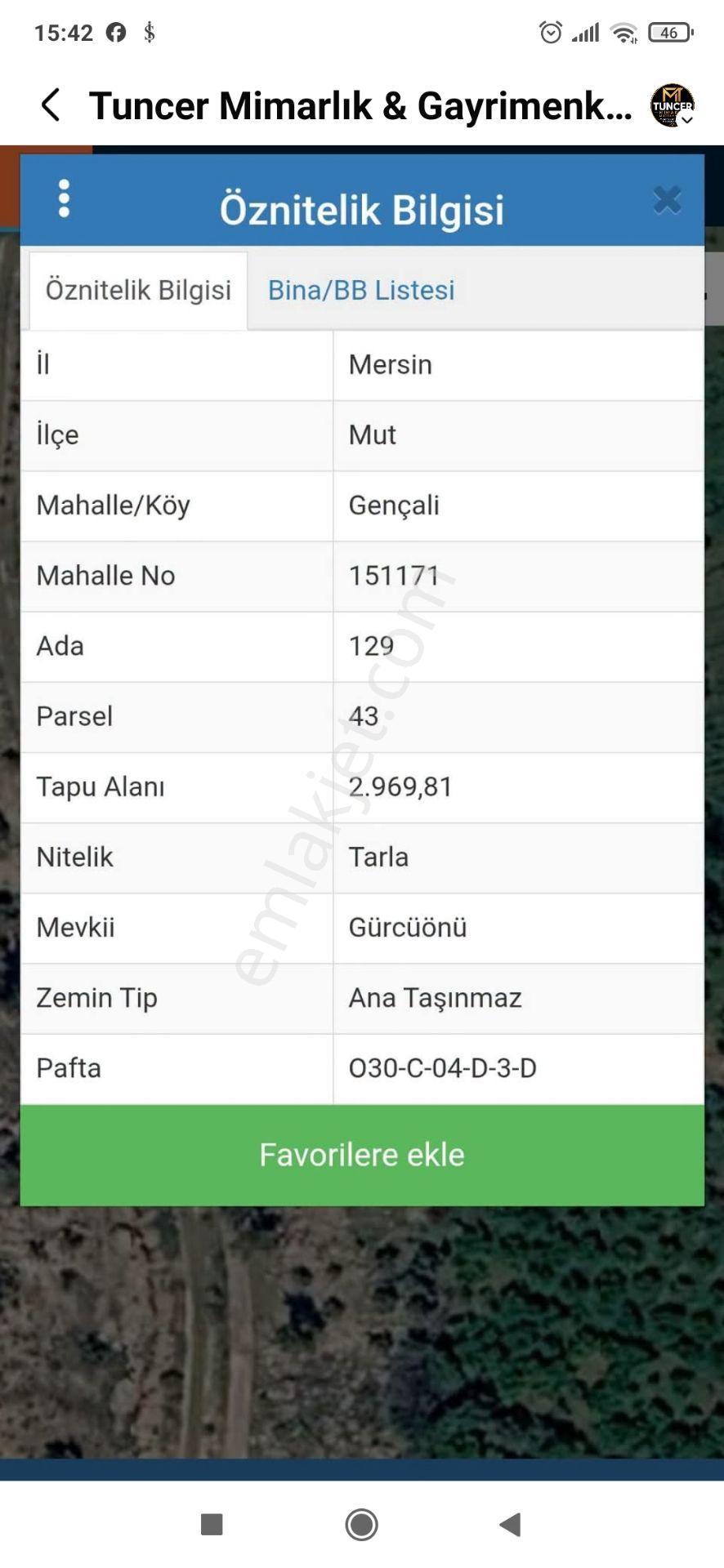 Gençali Köyünde Satılık Zeytin Bahçesi