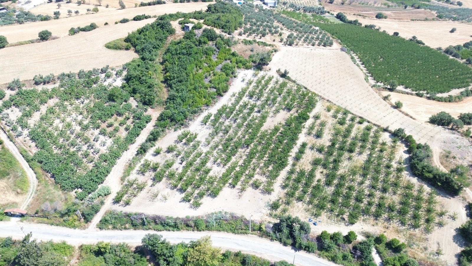 Yiğit Gayrimenkul'den Çanakkale Yapıldak Köyünde Satılık Tarla — fotoğraf 6